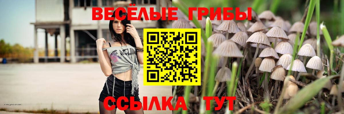 Галлюциногенные грибы Cubensis Аргун
