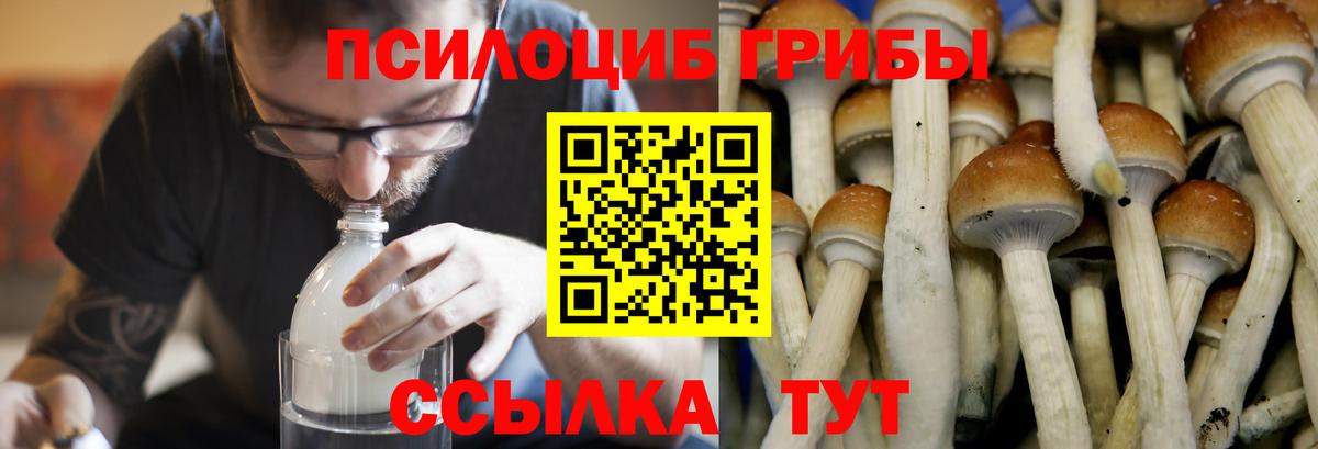 Марихуана  МДМА  Меф   Аргун  Вход с VPN  Меф МЯУ МЯУ 
